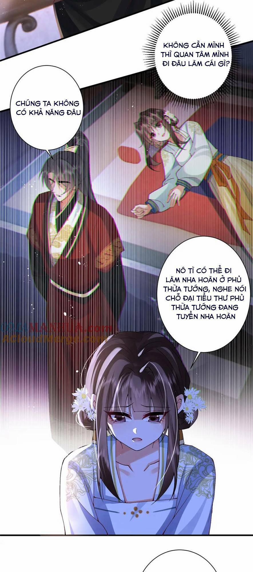 Phượng Hoàng Quy Hồi 16 trang 3