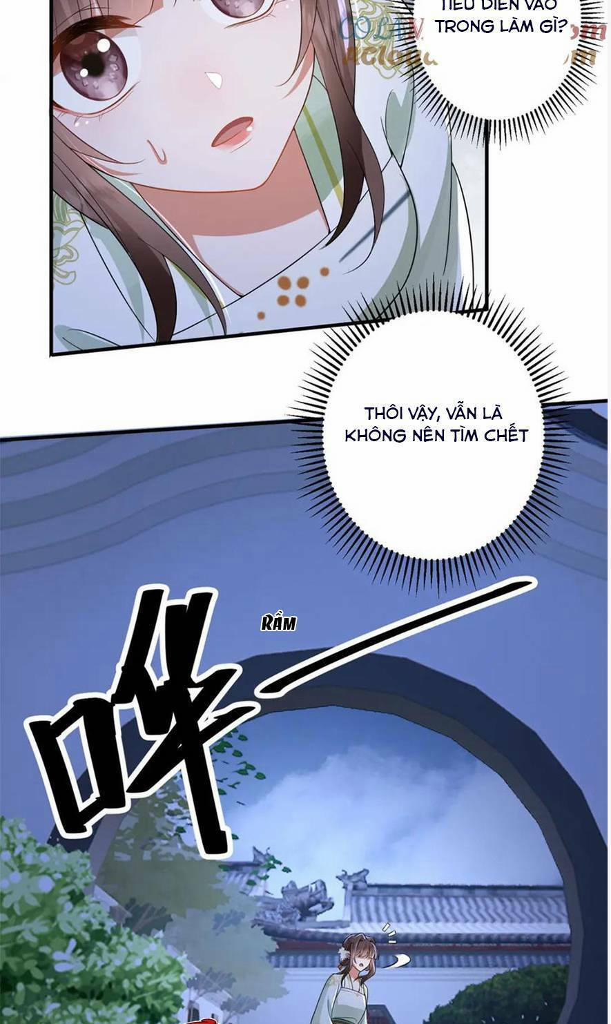 Phượng Hoàng Quy Hồi 16 trang 34