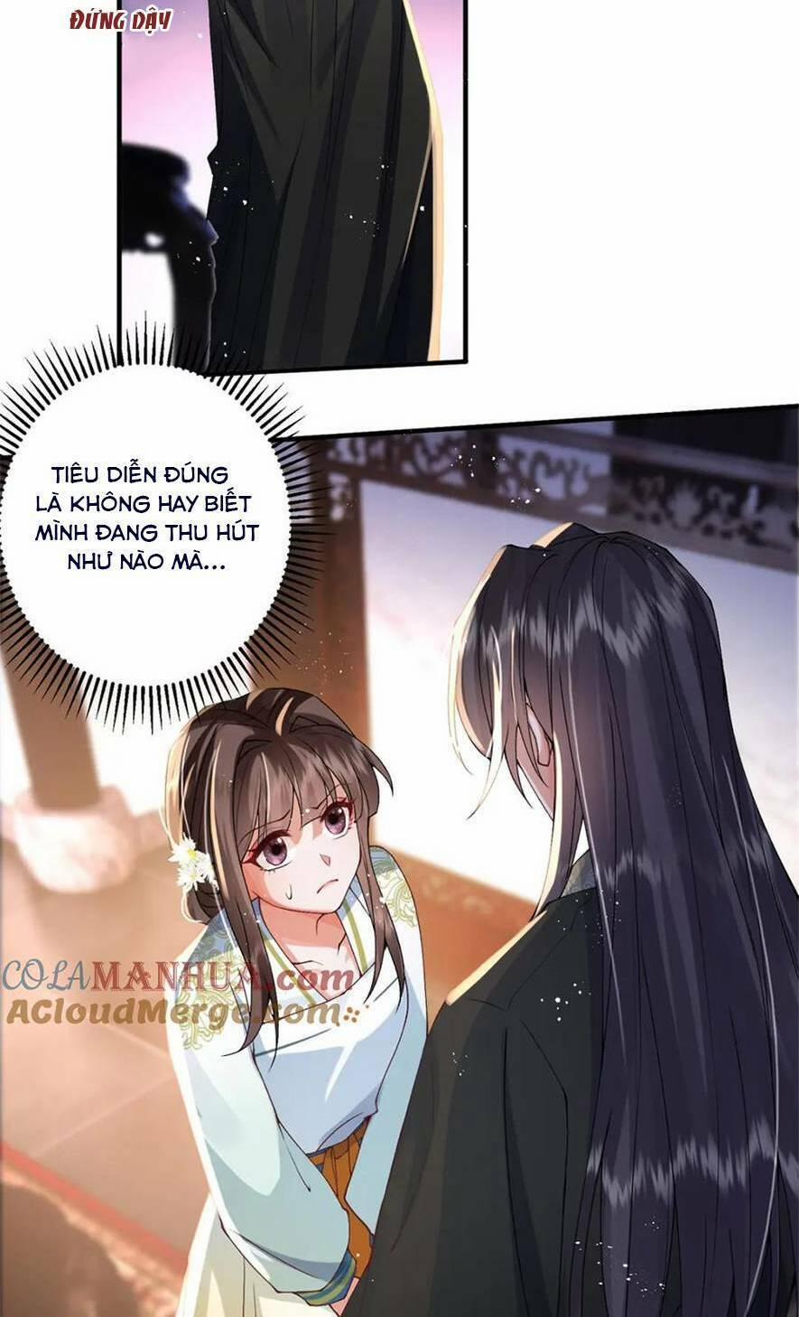 Phượng Hoàng Quy Hồi 16 trang 8