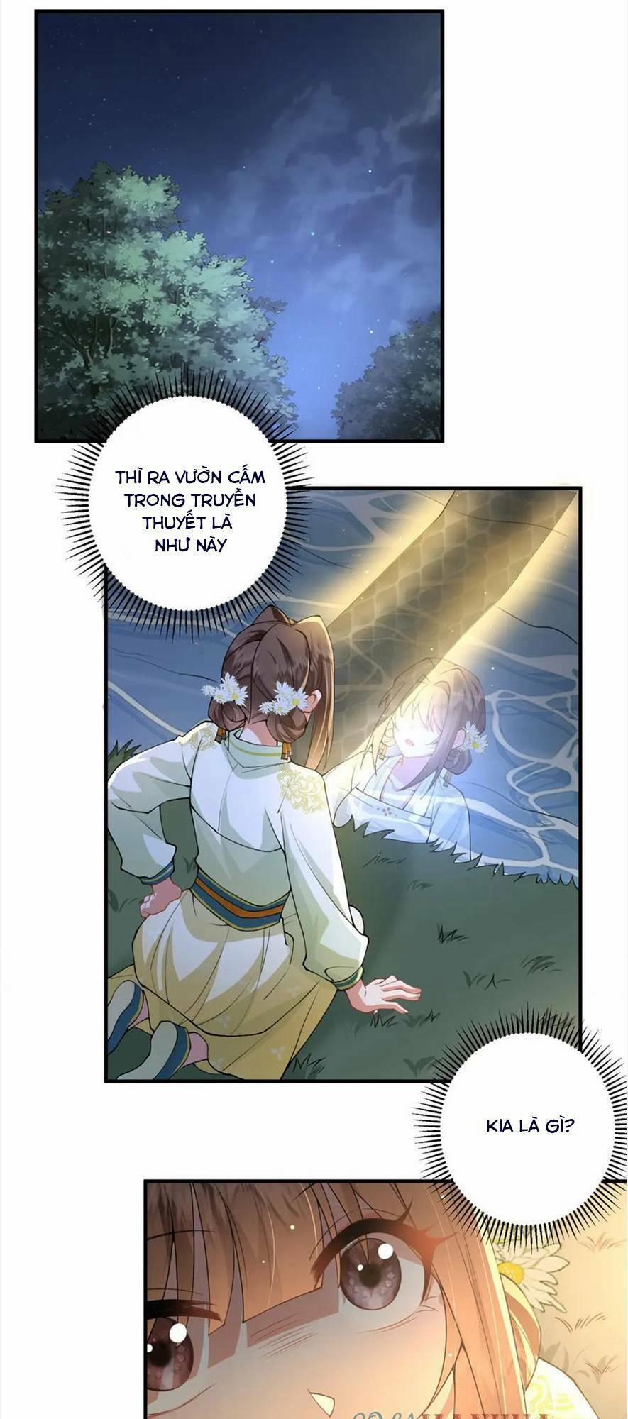 Phượng Hoàng Quy Hồi 17 trang 25