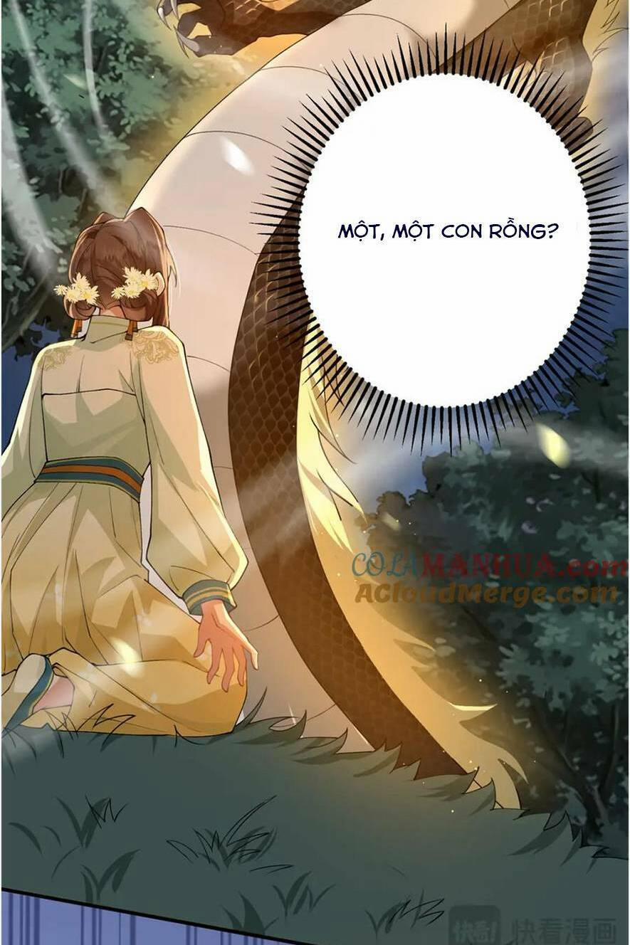 Phượng Hoàng Quy Hồi 17 trang 27