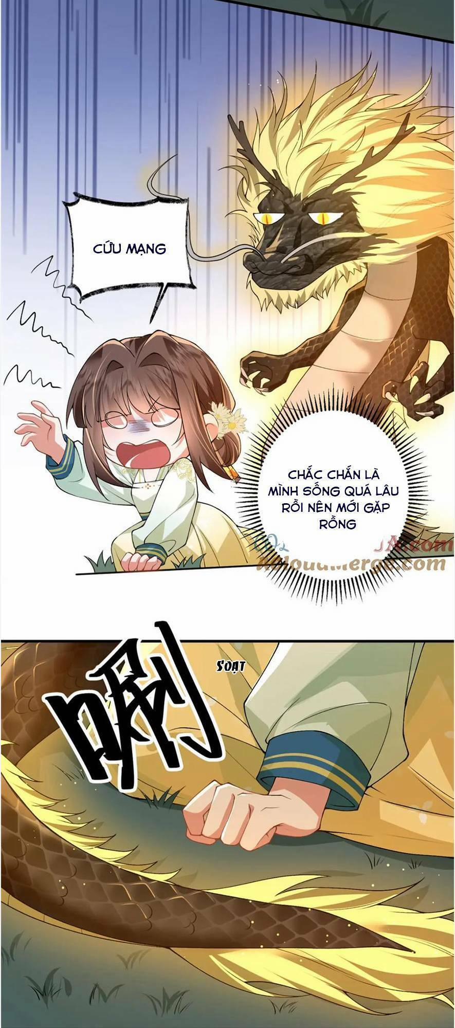 Phượng Hoàng Quy Hồi 17 trang 28