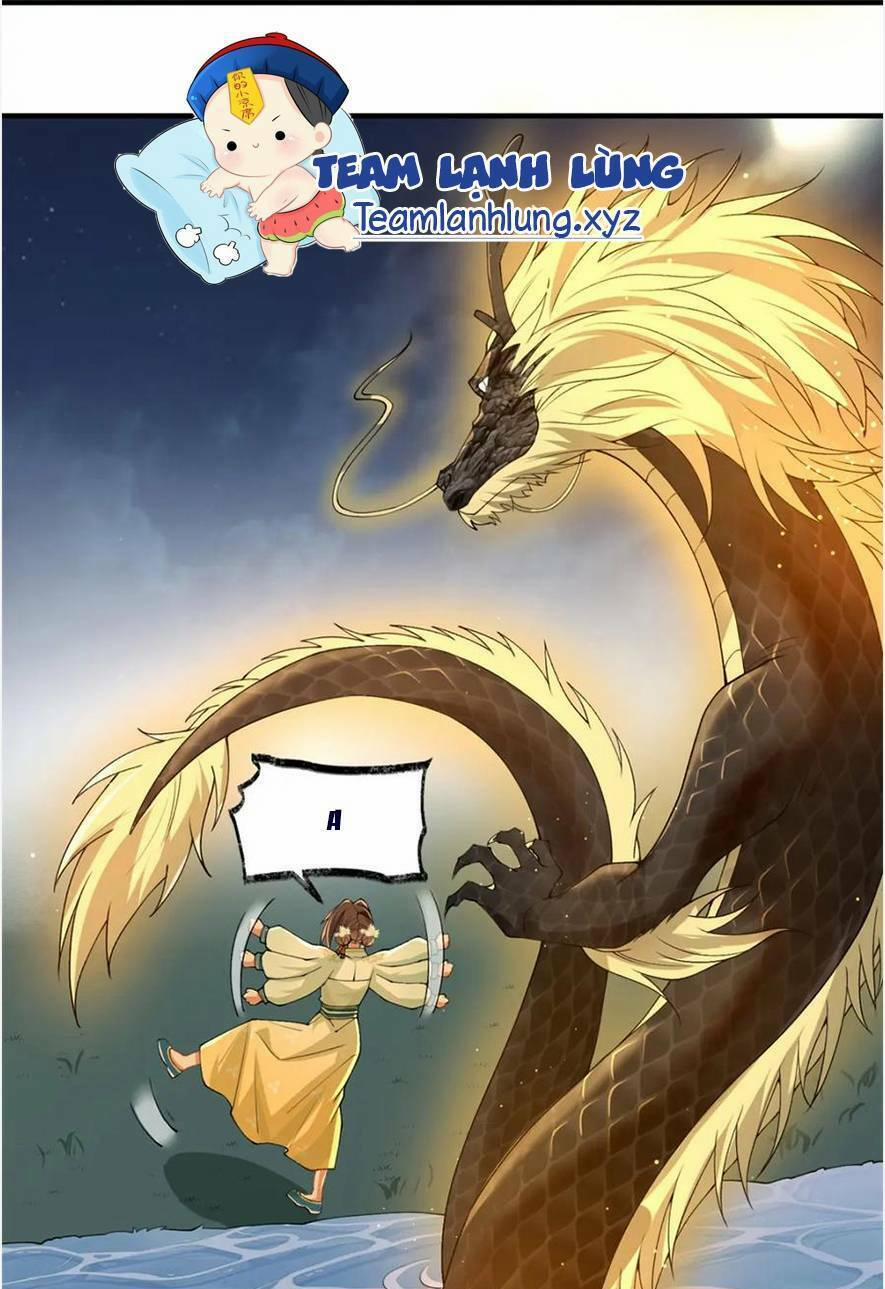 Phượng Hoàng Quy Hồi 17 trang 29