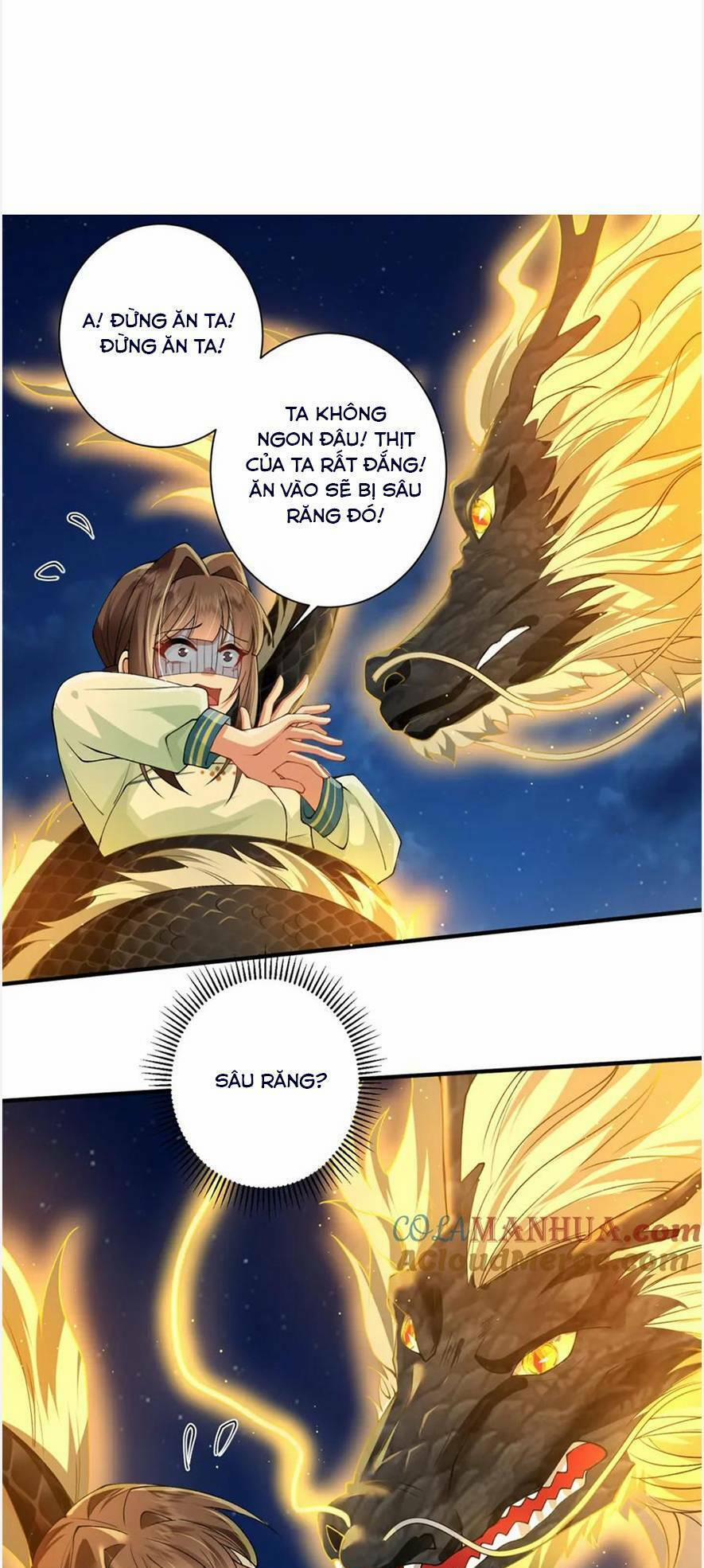 Phượng Hoàng Quy Hồi 17 trang 33