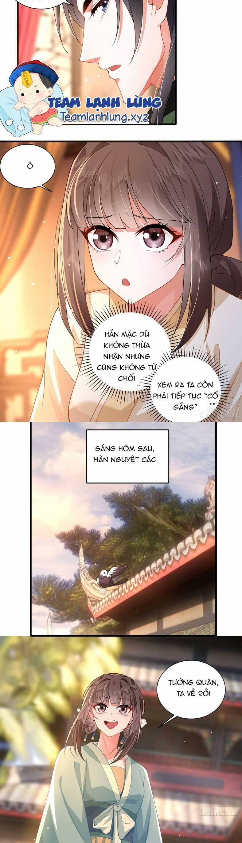 Phượng Hoàng Quy Hồi 19 trang 11