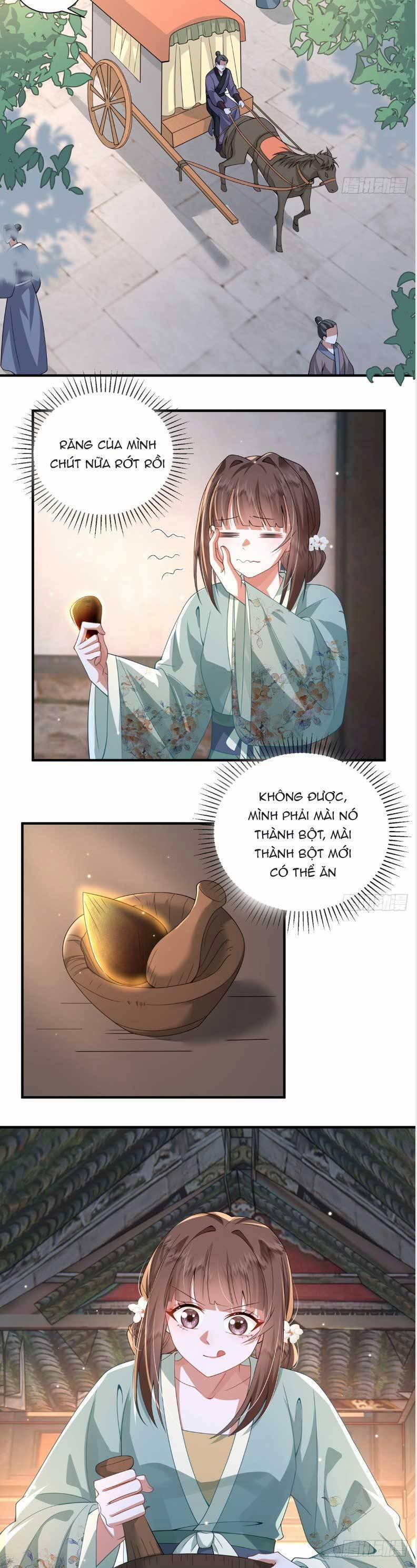 Phượng Hoàng Quy Hồi 20 trang 13