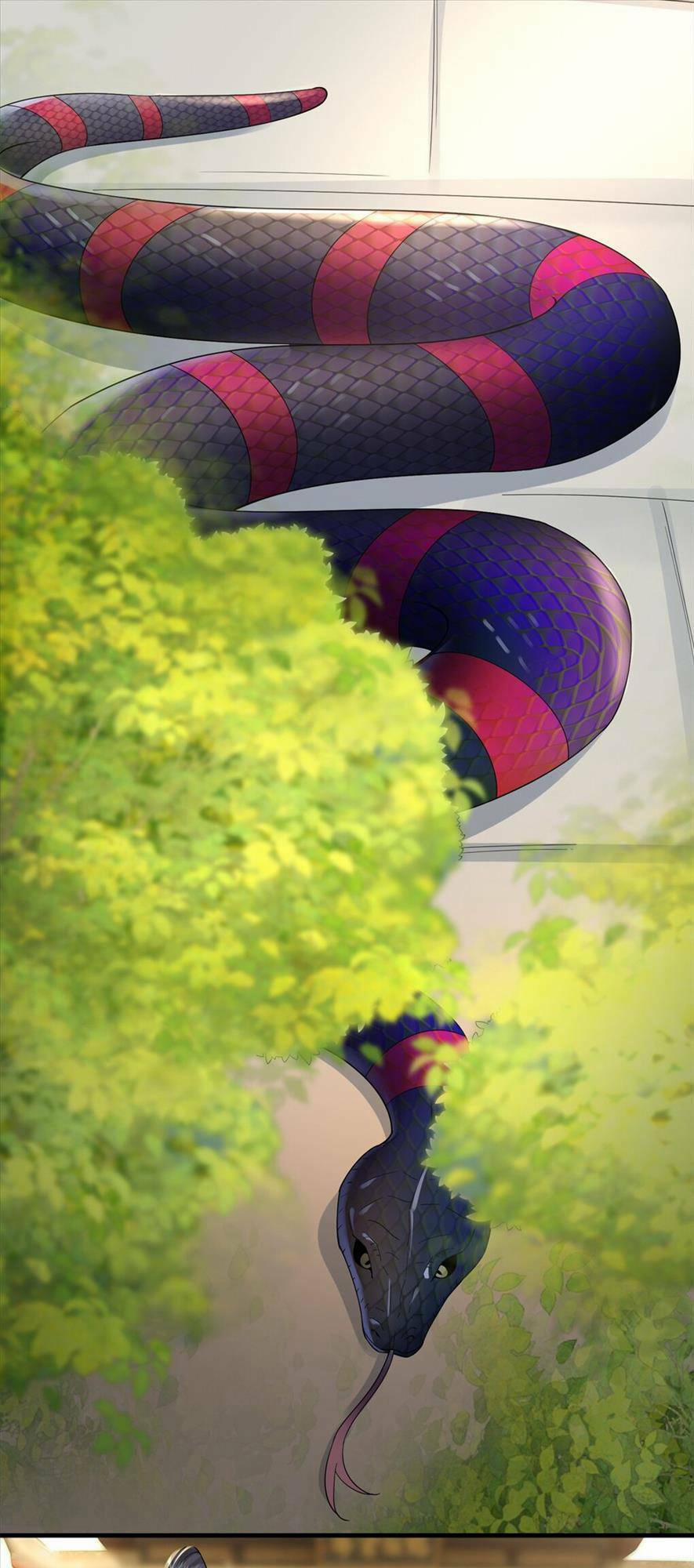 Phượng Hoàng Quy Hồi 7 trang 11