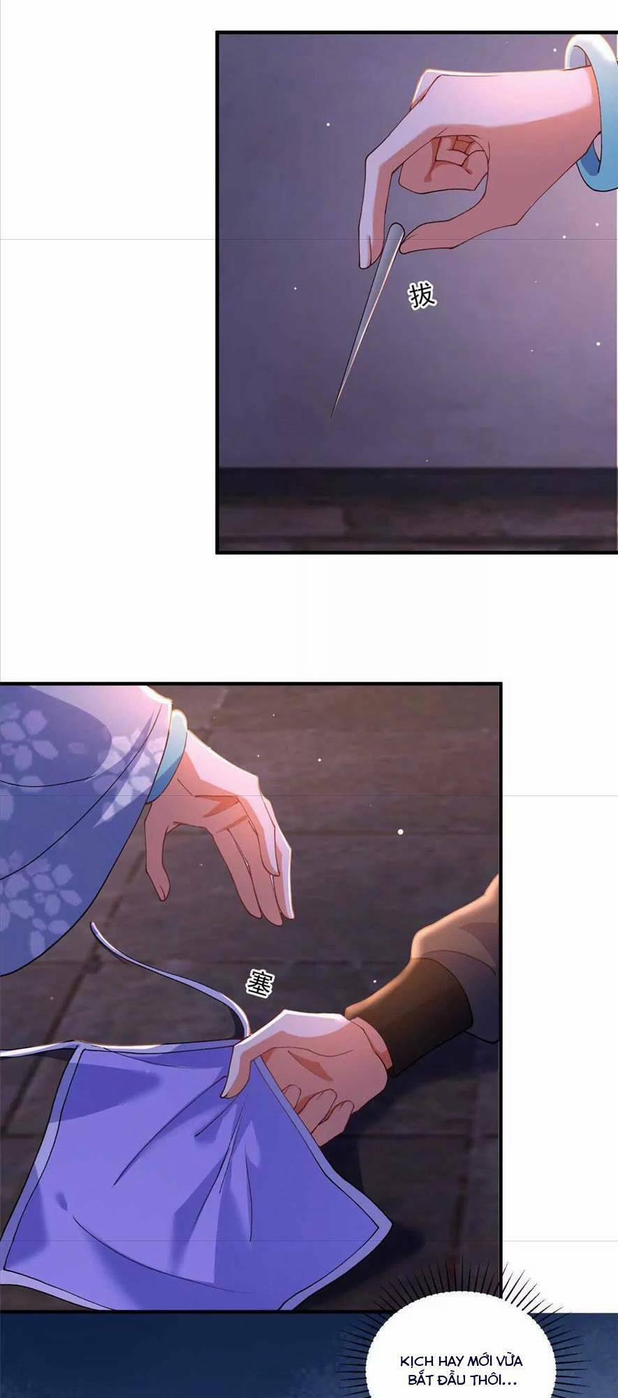 Phượng Hoàng Quy Hồi 9 trang 11