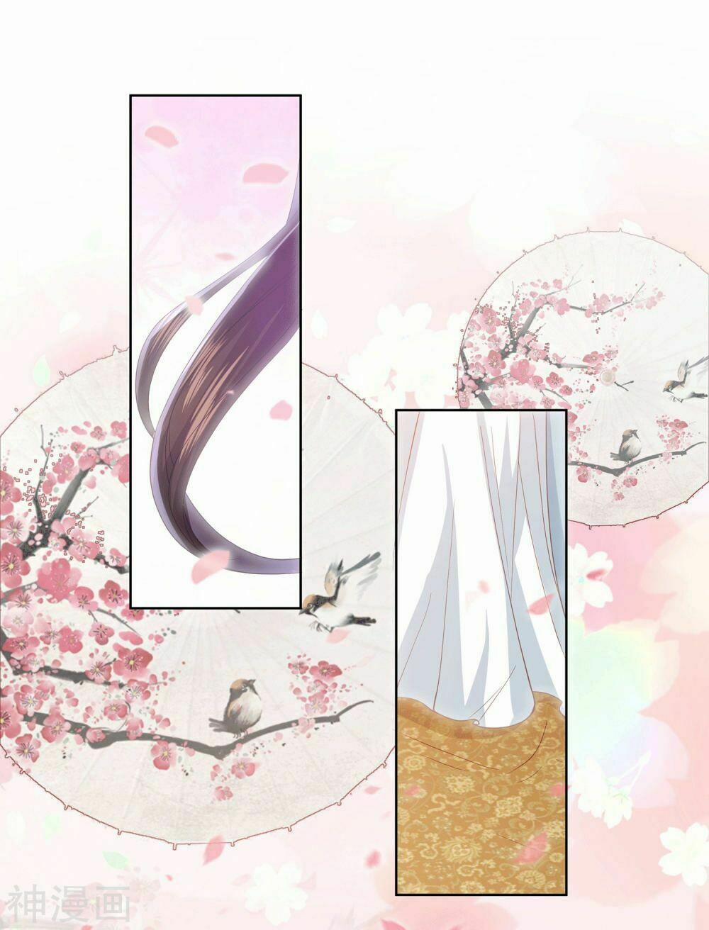 Phượng Hoàng Thác: Chuyên Sủng Khí Thê 11 trang 22