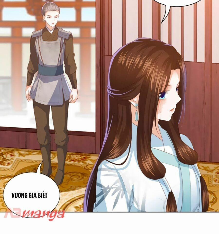 Phượng Hoàng Thác: Chuyên Sủng Khí Thê 12 trang 11