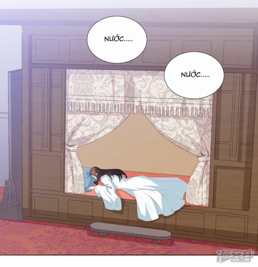 Phượng Hoàng Thác: Chuyên Sủng Khí Thê 14 trang 12