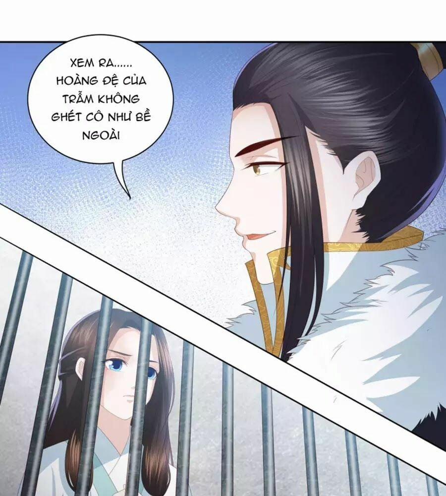 Phượng Hoàng Thác: Chuyên Sủng Khí Thê 16 trang 16