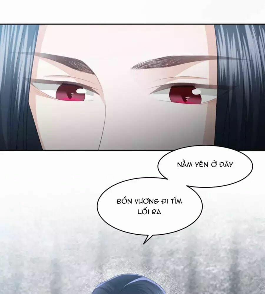 Phượng Hoàng Thác: Chuyên Sủng Khí Thê 17 trang 11