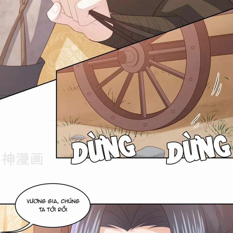 Phượng Hoàng Thác: Chuyên Sủng Khí Thê 18 trang 19