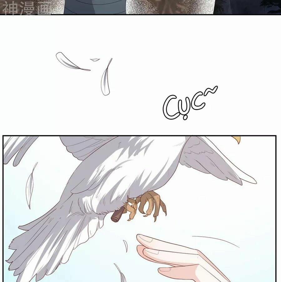 Phượng Hoàng Thác: Chuyên Sủng Khí Thê 18 trang 4