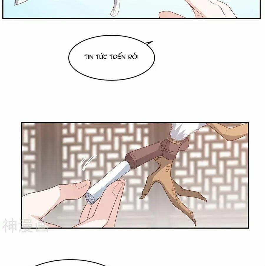 Phượng Hoàng Thác: Chuyên Sủng Khí Thê 18 trang 5