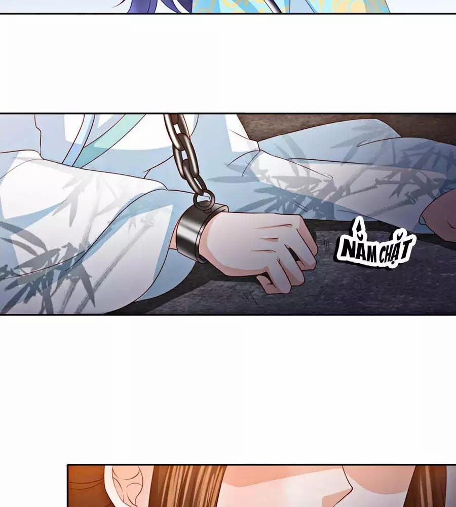 Phượng Hoàng Thác: Chuyên Sủng Khí Thê 20 trang 16