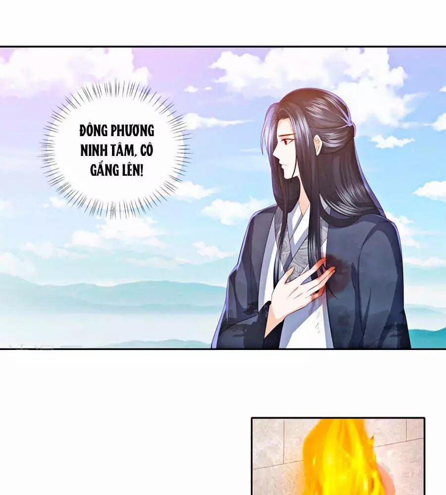 Phượng Hoàng Thác: Chuyên Sủng Khí Thê 20 trang 7