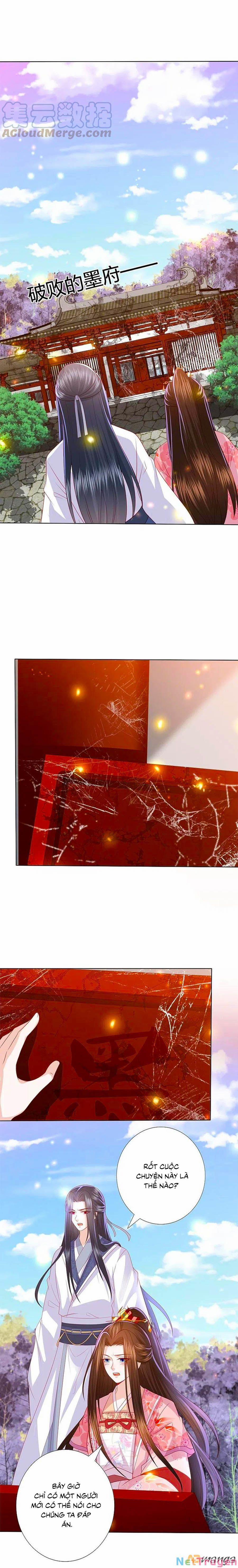 Phượng Hoàng Thác: Chuyên Sủng Khí Thê 228 trang 0