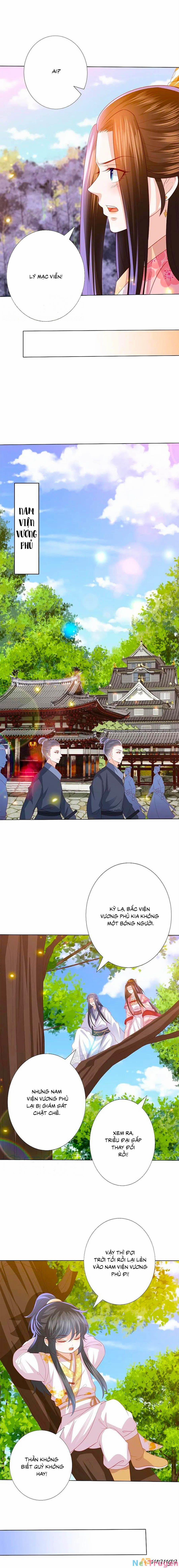 Phượng Hoàng Thác: Chuyên Sủng Khí Thê 228 trang 1