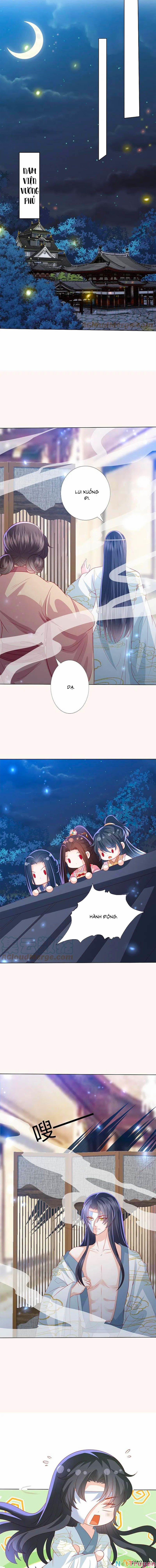 Phượng Hoàng Thác: Chuyên Sủng Khí Thê 228 trang 3