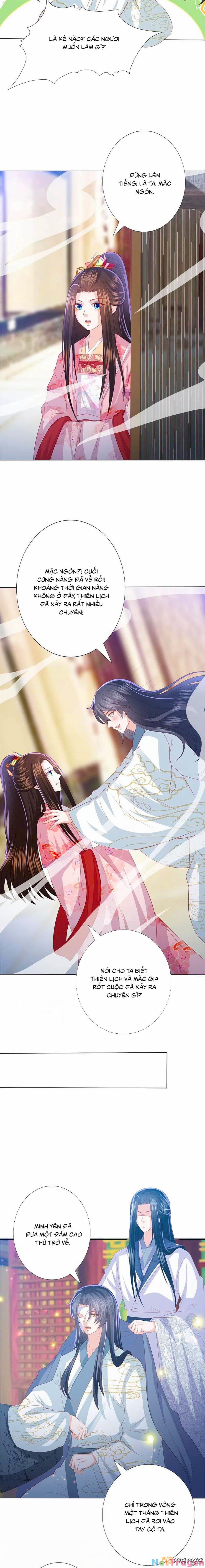 Phượng Hoàng Thác: Chuyên Sủng Khí Thê 228 trang 4