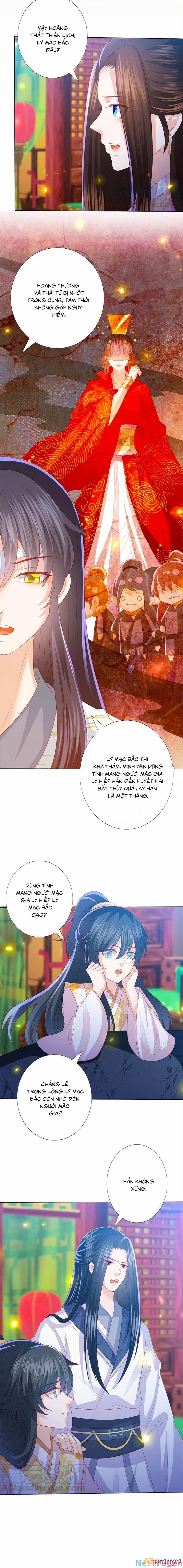 Phượng Hoàng Thác: Chuyên Sủng Khí Thê 228 trang 5