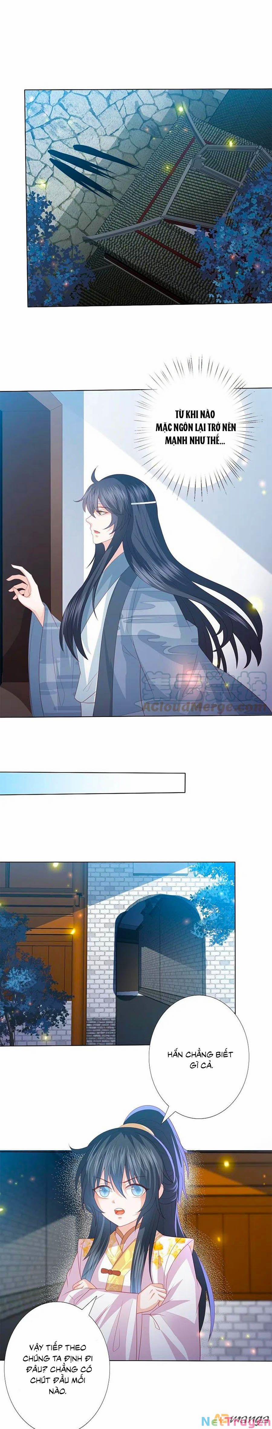 Phượng Hoàng Thác: Chuyên Sủng Khí Thê 228 trang 7