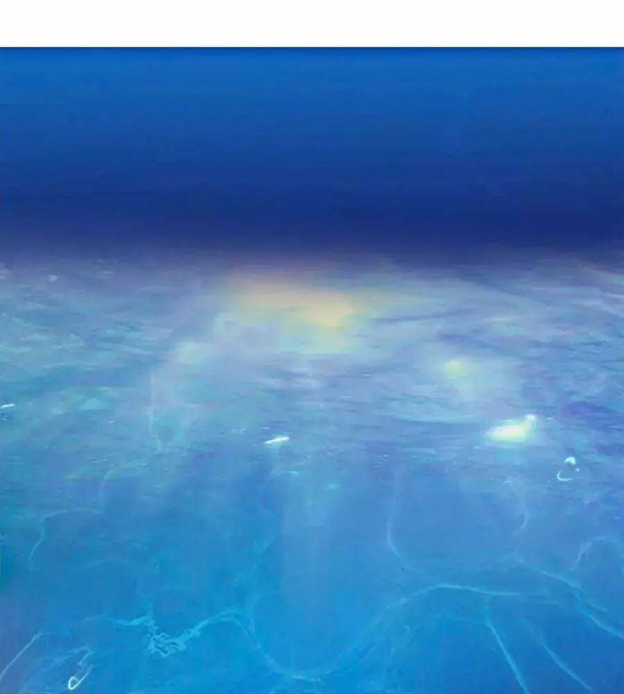 Phượng Hoàng Thác: Chuyên Sủng Khí Thê 24 trang 0