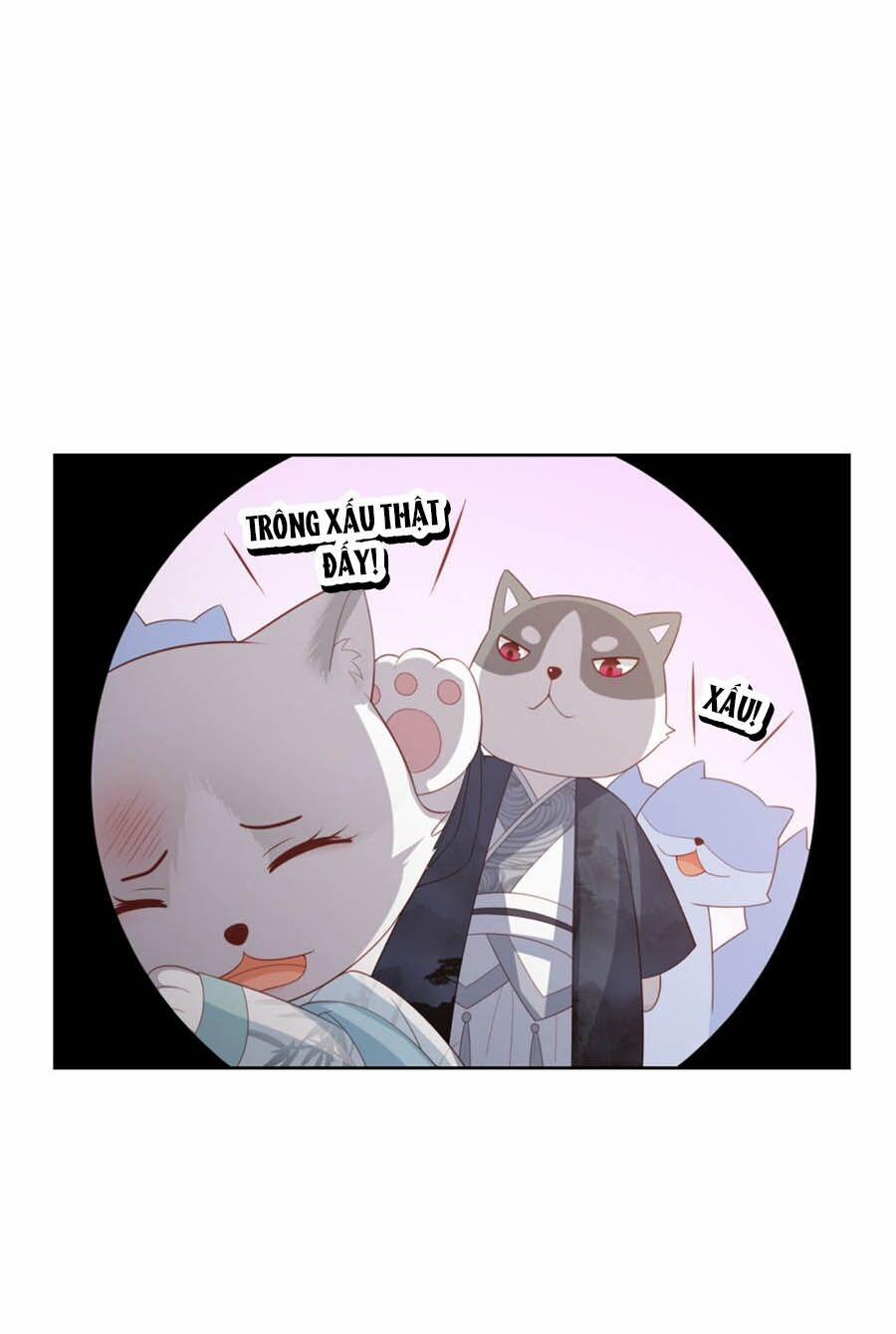 Phượng Hoàng Thác: Chuyên Sủng Khí Thê 27.5 trang 13