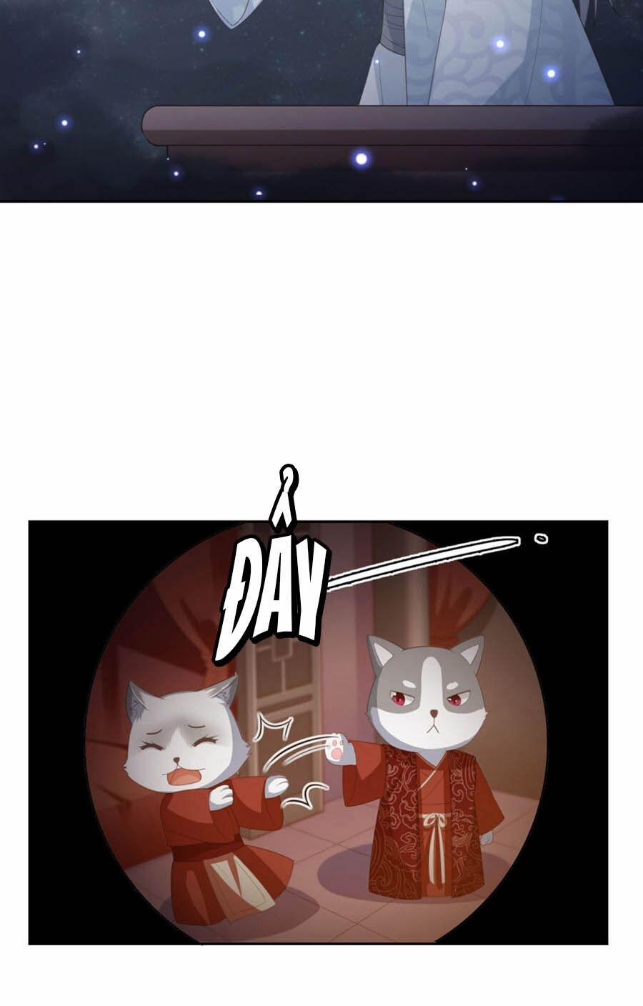 Phượng Hoàng Thác: Chuyên Sủng Khí Thê 27.5 trang 5