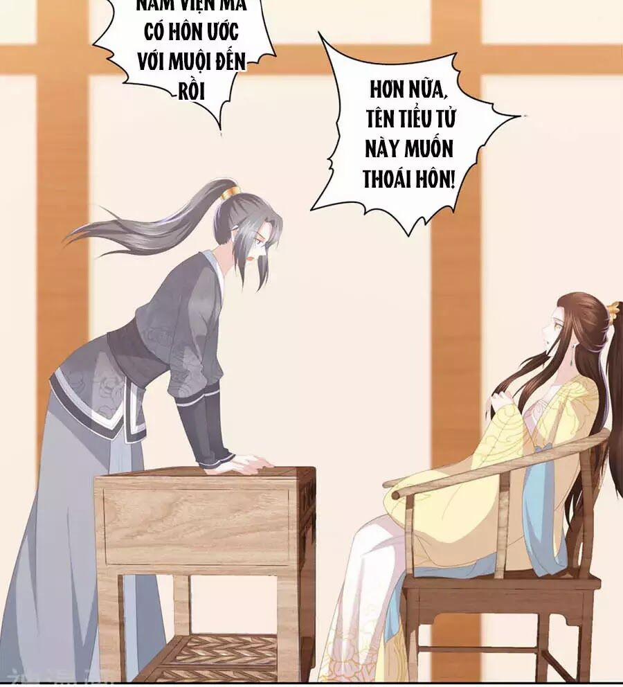 Phượng Hoàng Thác: Chuyên Sủng Khí Thê 27 trang 5