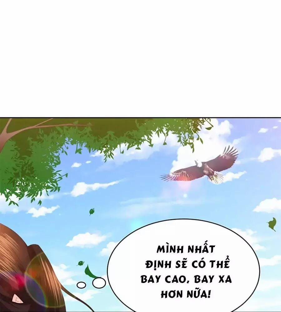 Phượng Hoàng Thác: Chuyên Sủng Khí Thê 28 trang 47