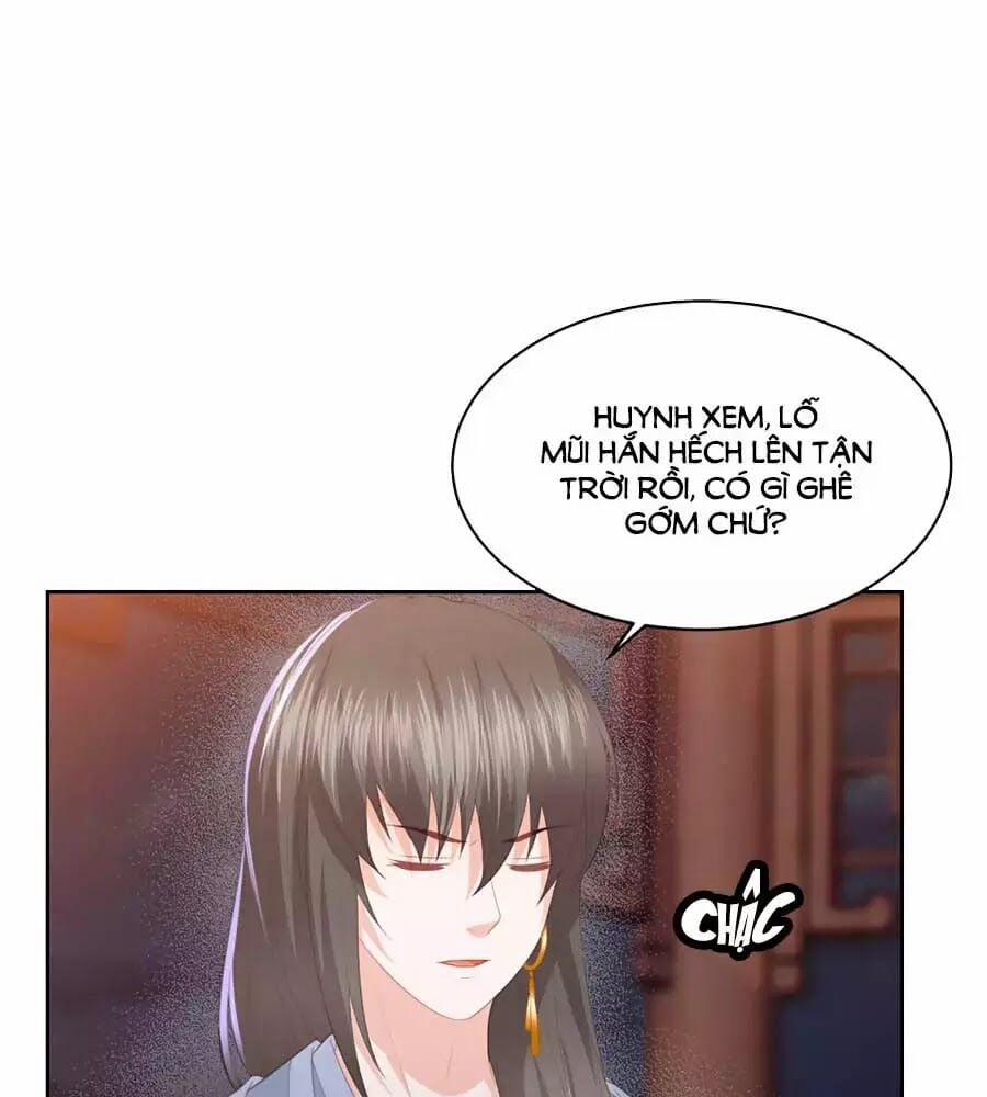 Phượng Hoàng Thác: Chuyên Sủng Khí Thê 29 trang 14