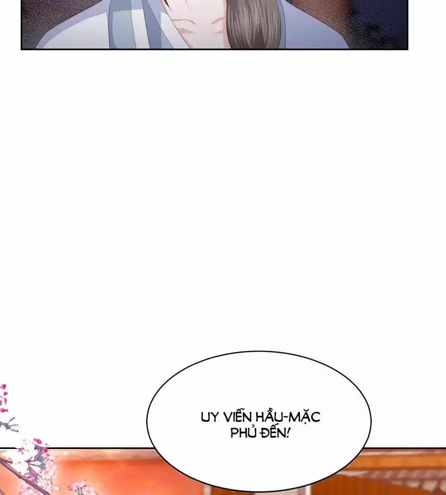 Phượng Hoàng Thác: Chuyên Sủng Khí Thê 29 trang 15