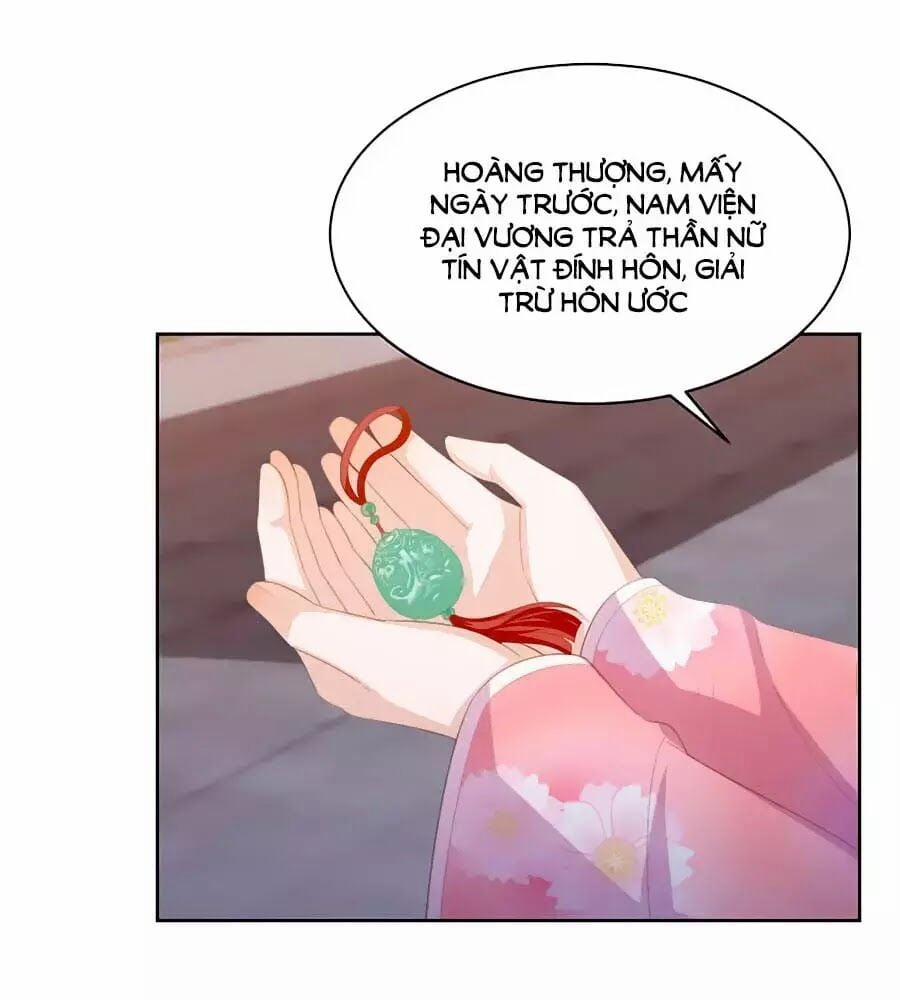 Phượng Hoàng Thác: Chuyên Sủng Khí Thê 31 trang 16