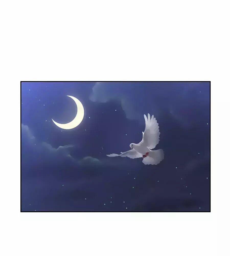 Phượng Hoàng Thác: Chuyên Sủng Khí Thê 31 trang 46