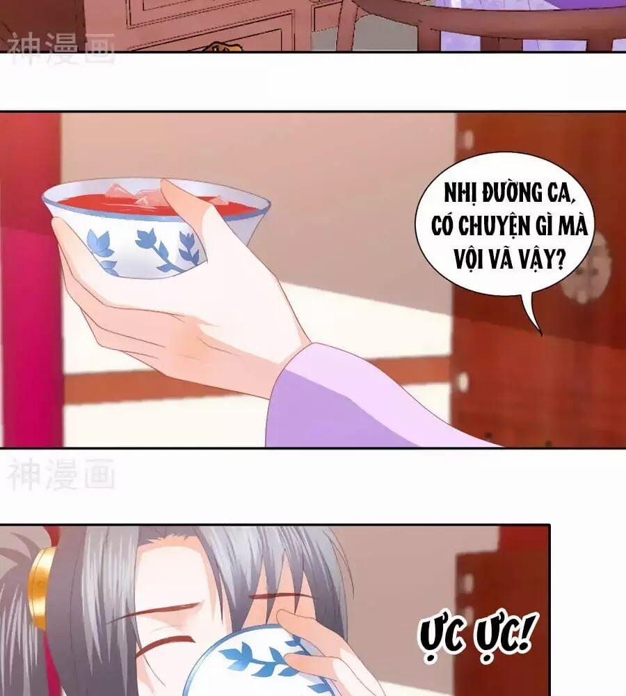 Phượng Hoàng Thác: Chuyên Sủng Khí Thê 32 trang 12