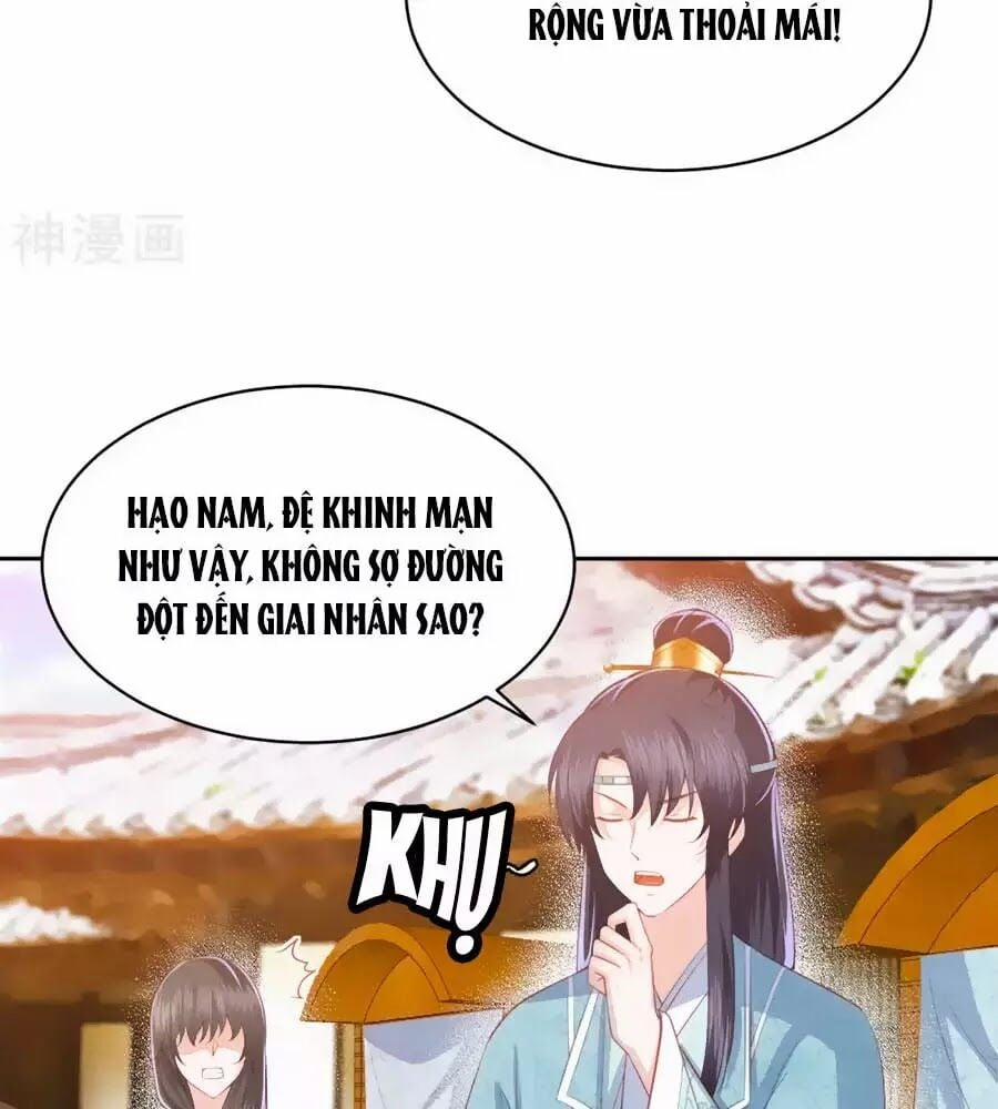 Phượng Hoàng Thác: Chuyên Sủng Khí Thê 33 trang 12