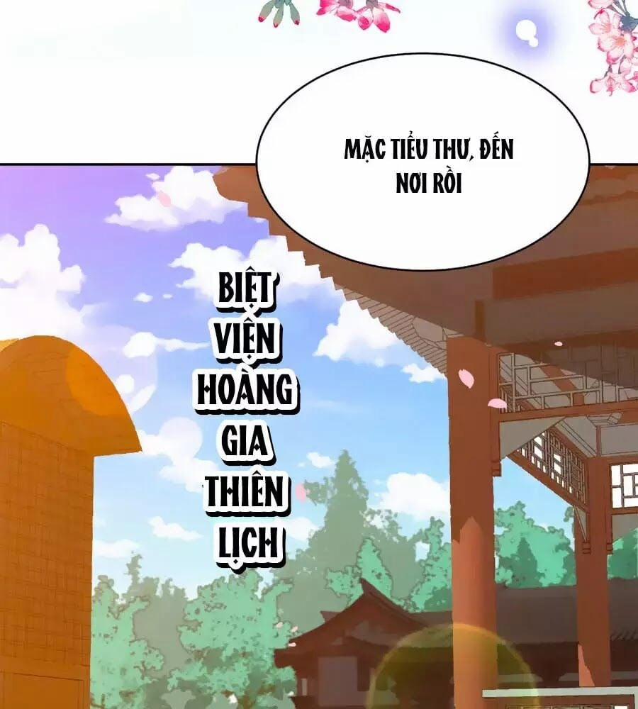 Phượng Hoàng Thác: Chuyên Sủng Khí Thê 33 trang 27