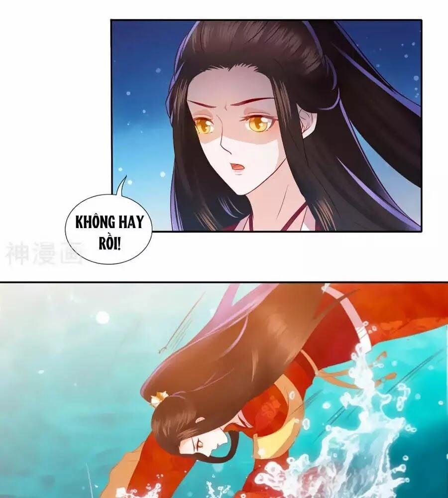 Phượng Hoàng Thác: Chuyên Sủng Khí Thê 34 trang 17