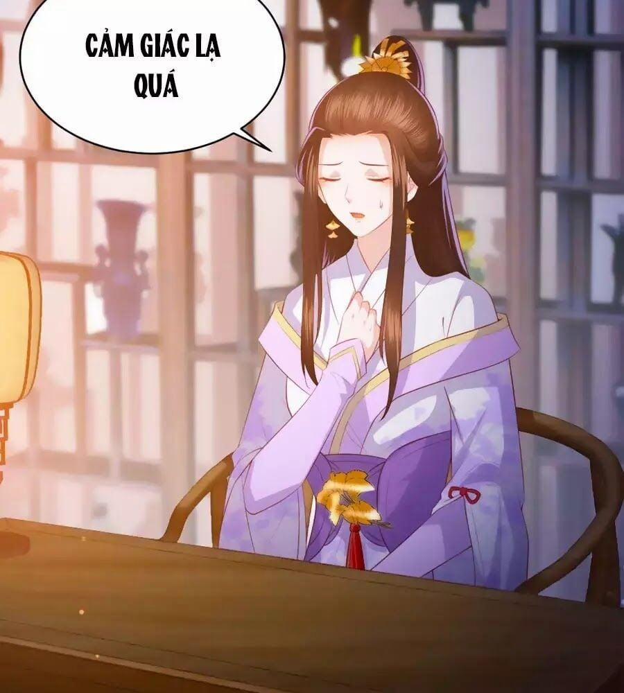 Phượng Hoàng Thác: Chuyên Sủng Khí Thê 35 trang 1