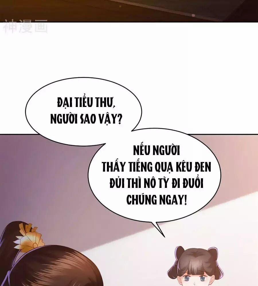 Phượng Hoàng Thác: Chuyên Sủng Khí Thê 35 trang 2