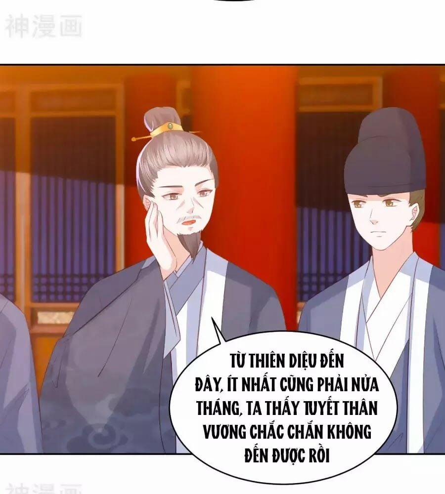 Phượng Hoàng Thác: Chuyên Sủng Khí Thê 35 trang 33