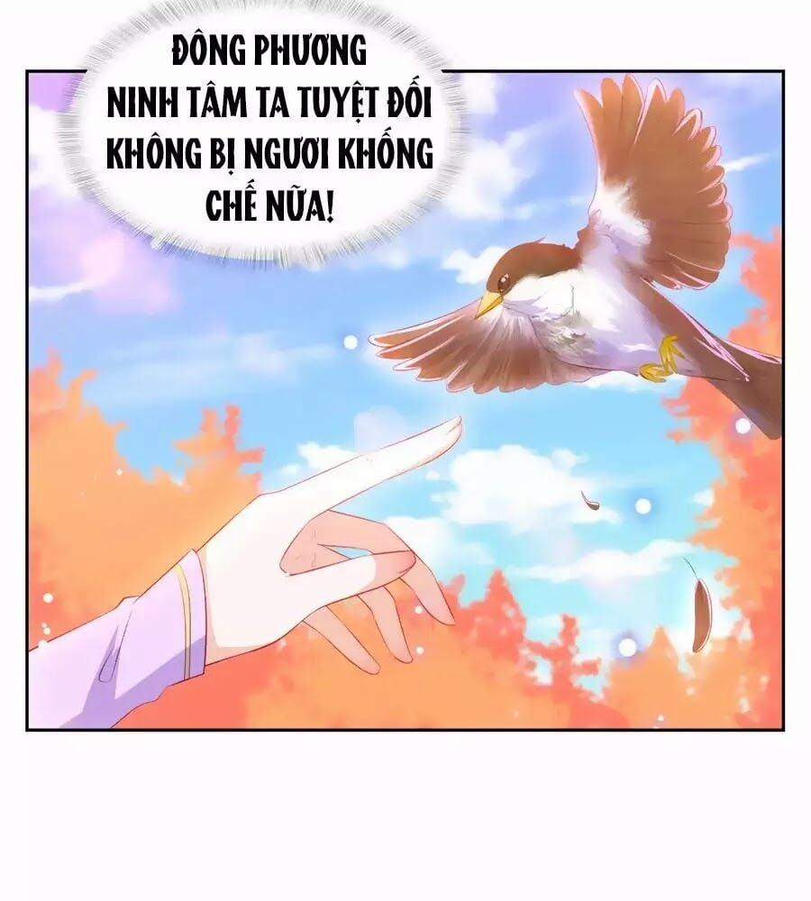 Phượng Hoàng Thác: Chuyên Sủng Khí Thê 35 trang 48