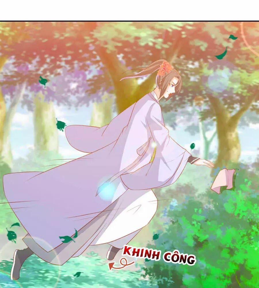 Phượng Hoàng Thác: Chuyên Sủng Khí Thê 39 trang 11