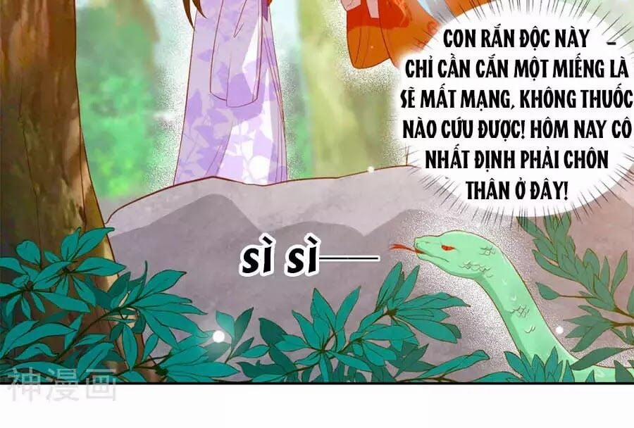 Phượng Hoàng Thác: Chuyên Sủng Khí Thê 39 trang 16