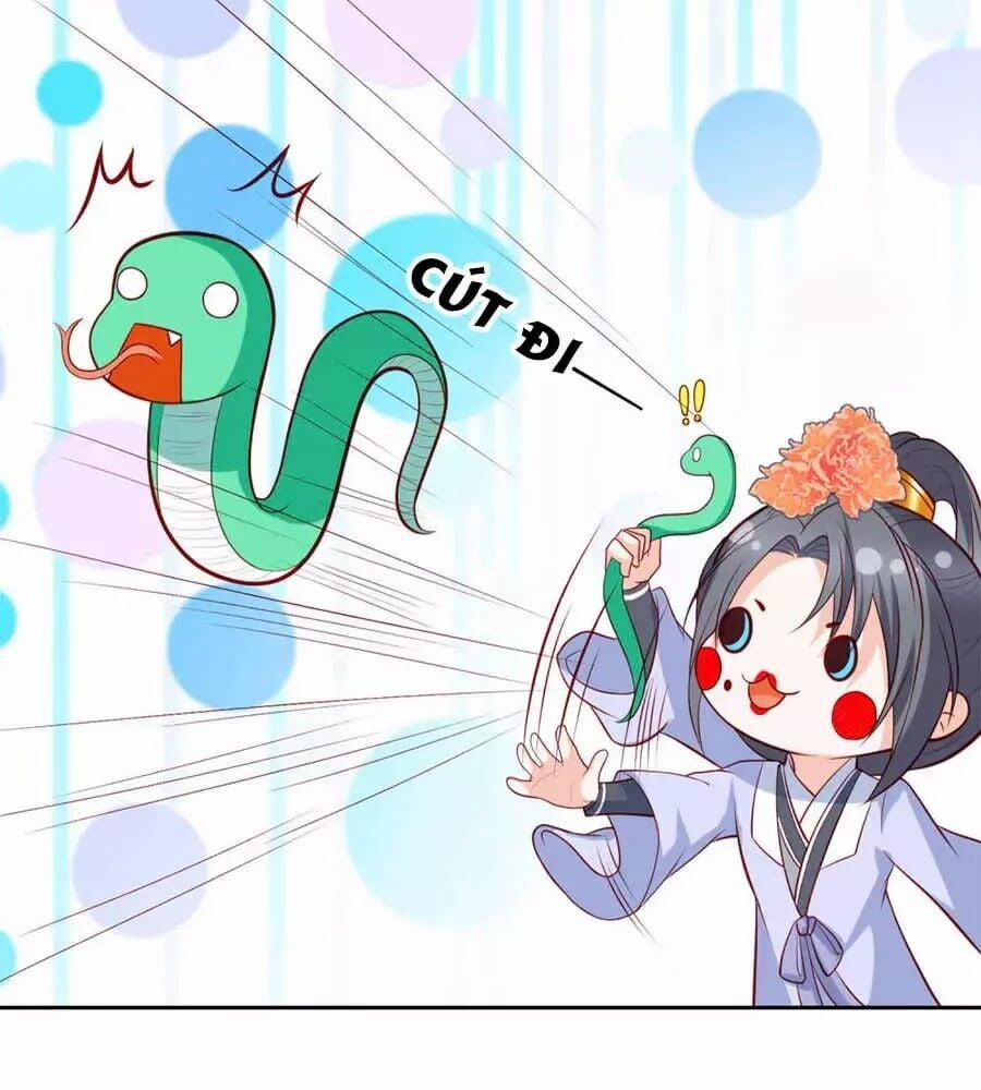 Phượng Hoàng Thác: Chuyên Sủng Khí Thê 39 trang 18