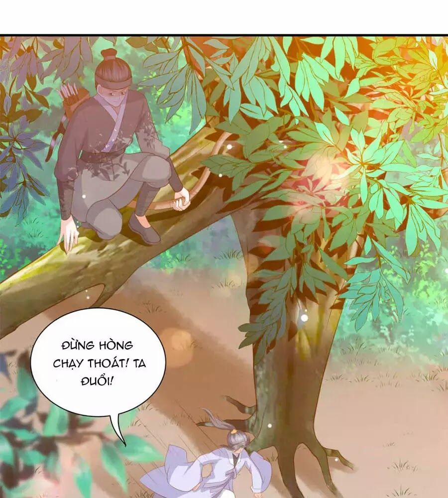 Phượng Hoàng Thác: Chuyên Sủng Khí Thê 39 trang 23