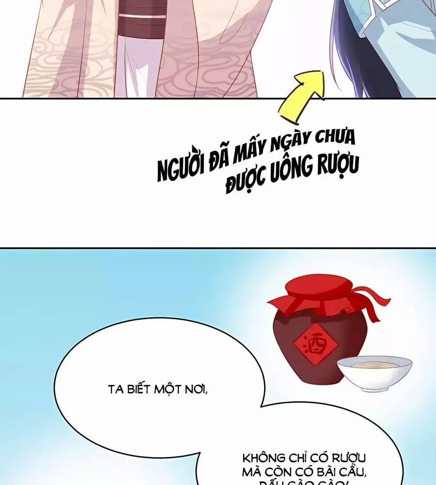 Phượng Hoàng Thác: Chuyên Sủng Khí Thê 40 trang 51